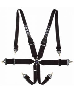 TRS Magnum 6 Point FIA Harness (FHR Only)