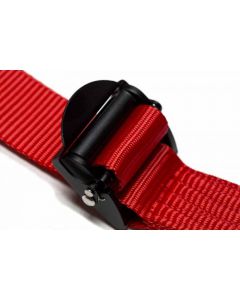 TRS Pro 6 Point Ultralite FIA Single Seater Harness-RED